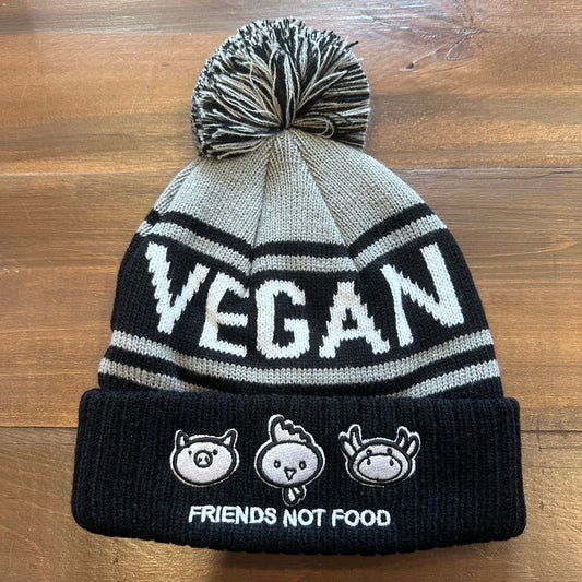 Winter Pom Pom Toque